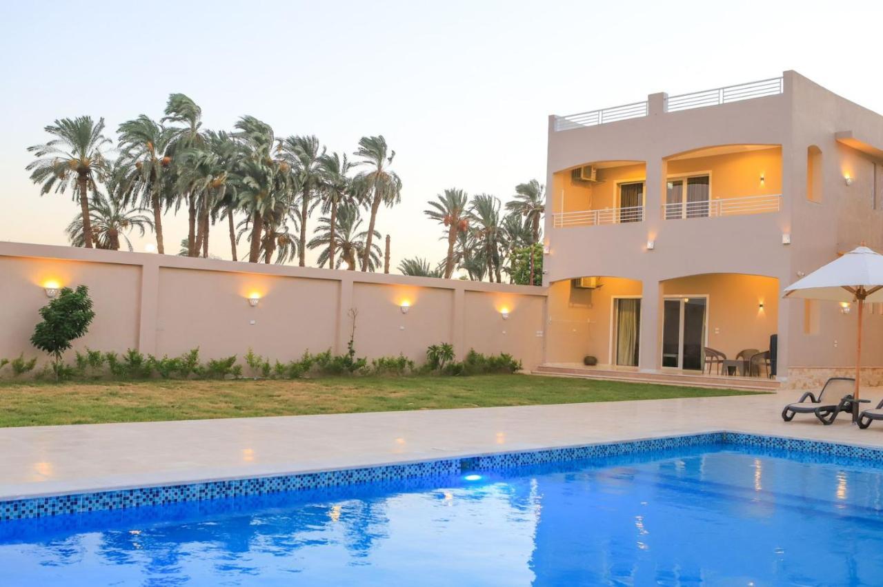 Royal Nile Villas - Pool View Apartment 2 Λούξορ Εξωτερικό φωτογραφία
